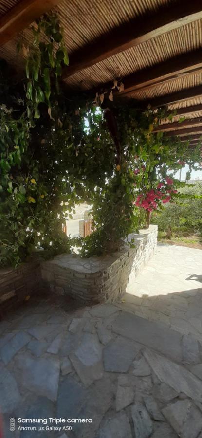 Ranias House Andiparos Exterior foto